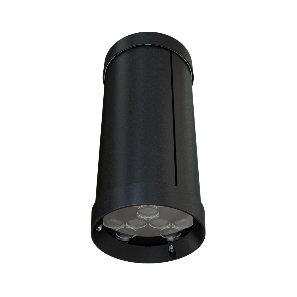 Акцент 20 Дуо 24-36В DC RGB DMX 10х65°