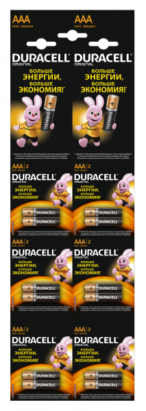 Duracell LR03-2BL BASIC 2*6 NEW (12/120/17280)